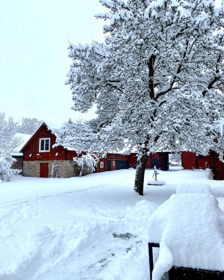 Bo I Egen Stuga Pa Haerlig Oelandsgard Köpingsvik Dış mekan fotoğraf